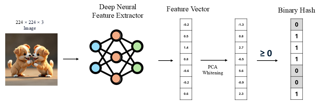 DINOHash: Learning Adversarially Robust Perceptual Hashes from Self-Supervised Features